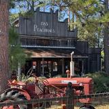 Das Peach Haus