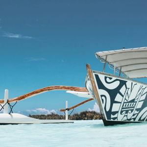 Honeymoon Fund: Day Ray and Shark Snorkeling Safari