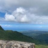 El Yunque National Forest