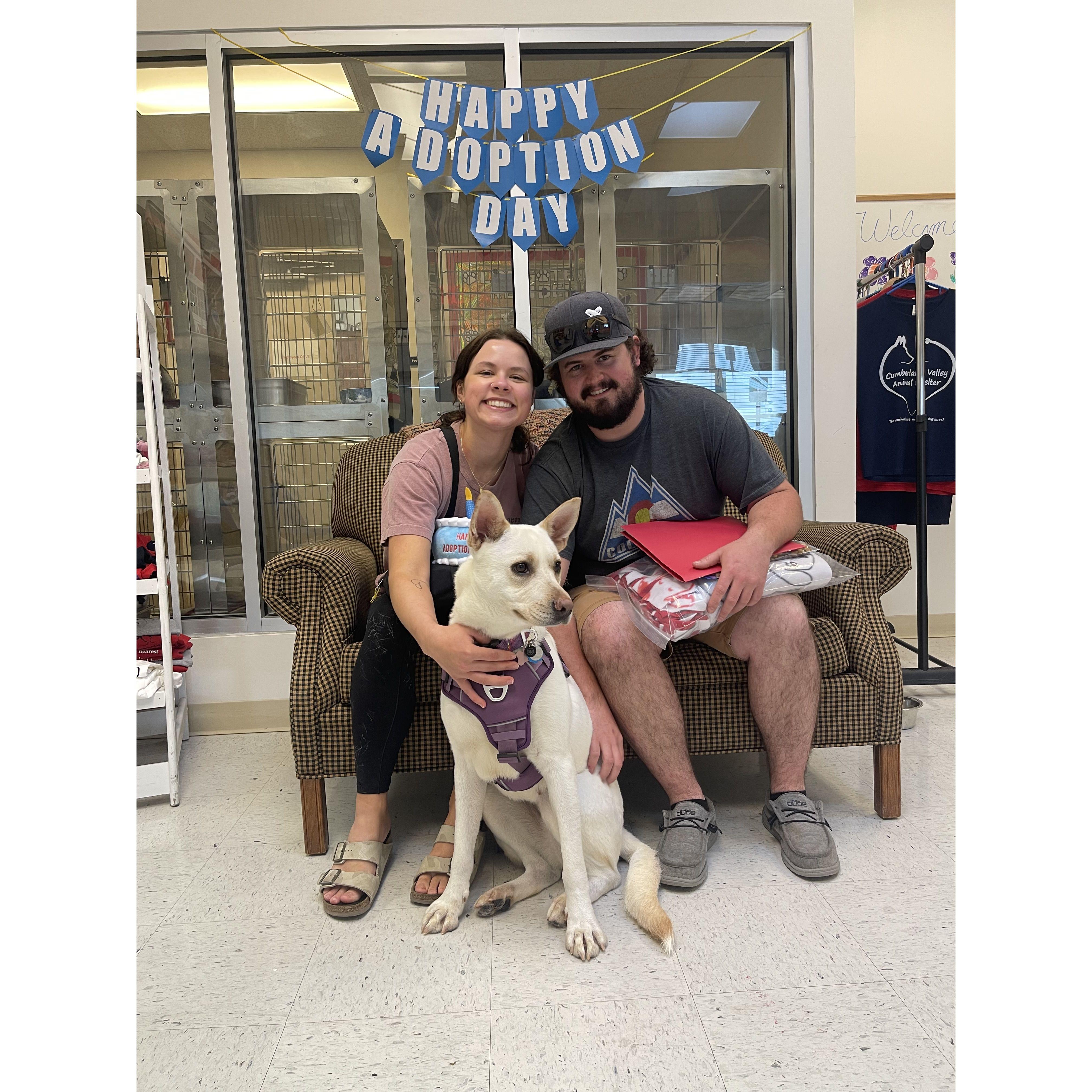 Luci Adoption Day