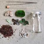 Terrarium