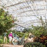 Butterfly Wonderland