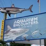 Florida Keys Aquarium Encounters