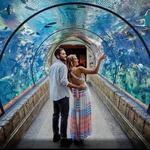 Shark Reef Aquarium at Mandalay Bay