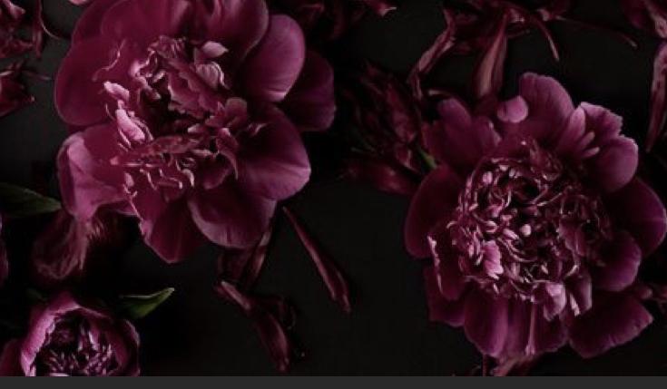 The Wedding Website of Ace Ubl and Caitlyn Opdyke