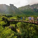Kirstenbosch National Botanical Garden