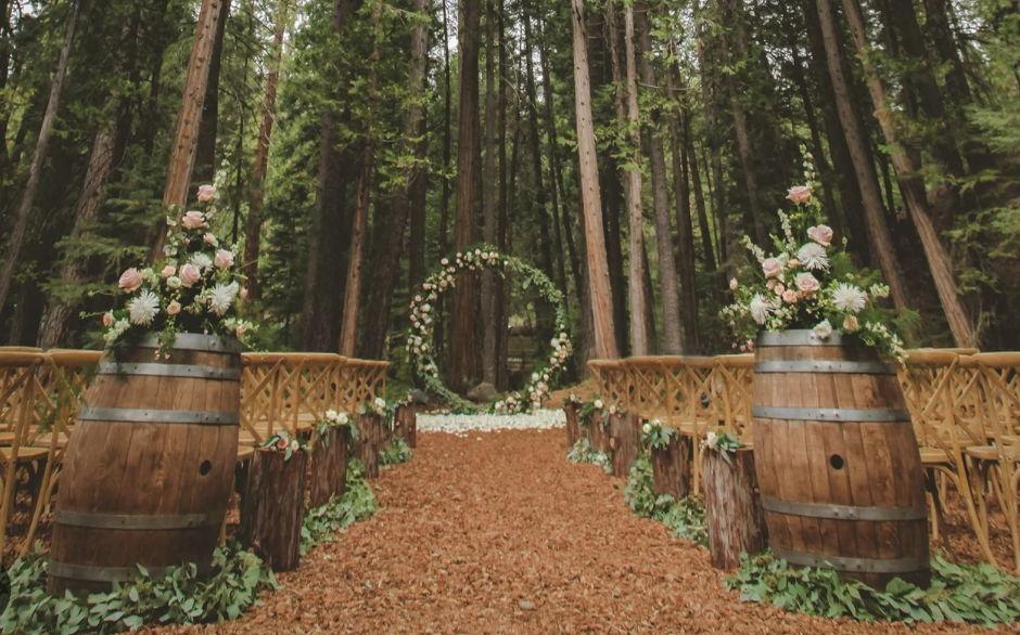 The Wedding Website of Creighton Williams and Sarah Bingham