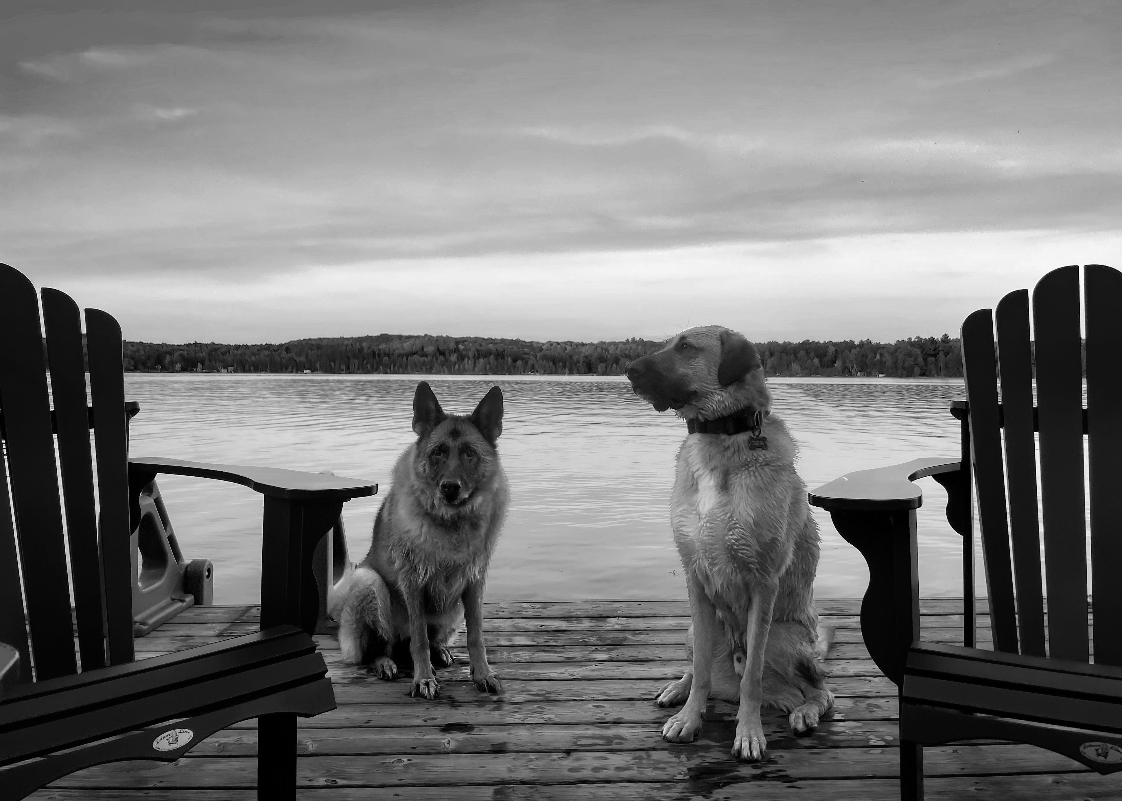 The Wedding Website of Christopher Flora and Sahyra Ternera