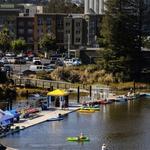 Paddle or Row on the Petaluma River