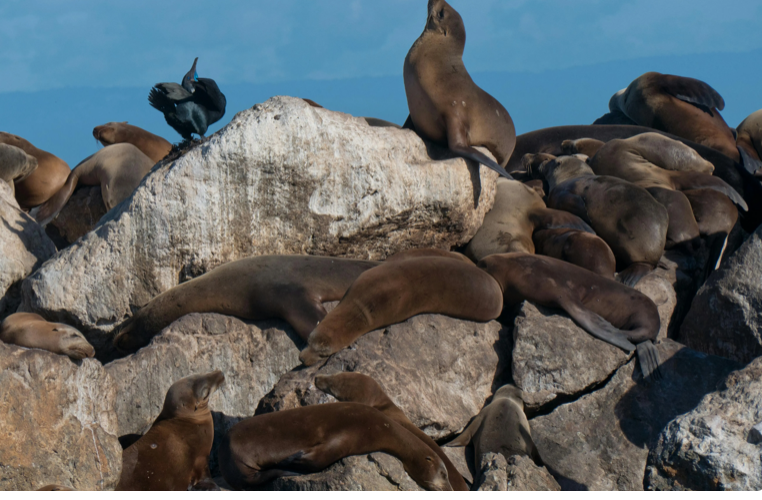 8ba0baca-3f86-4778-8ea9-a522d151662e