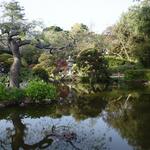 Japanese Tea Garden