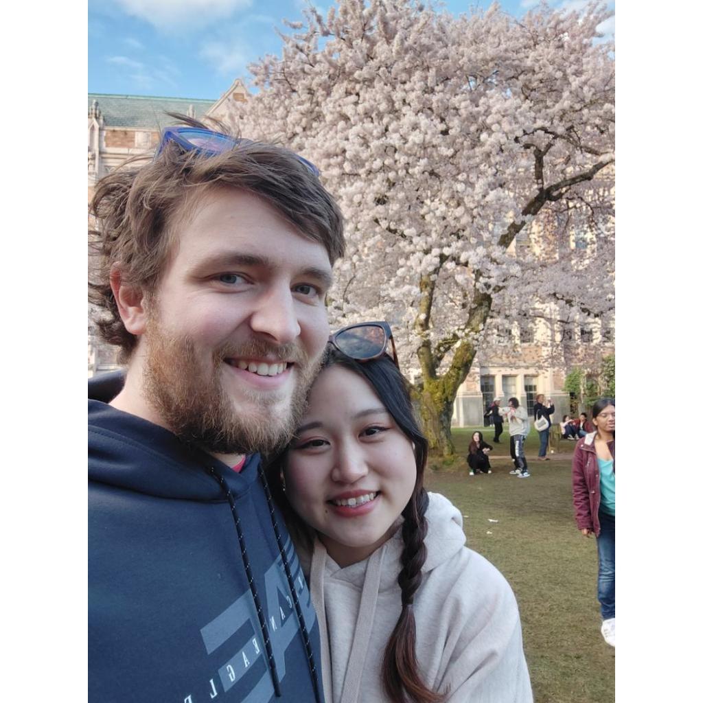 Cherry blossom