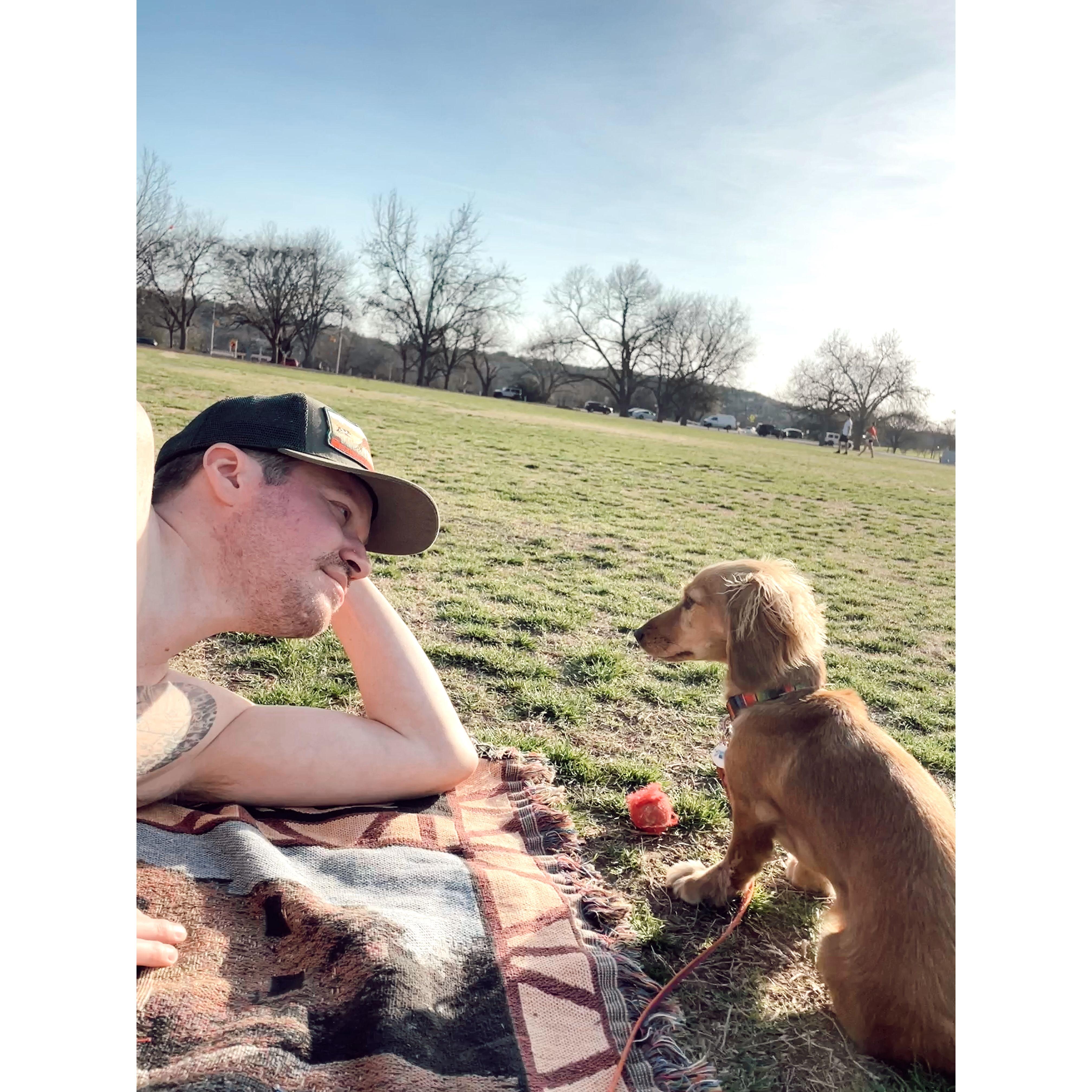Man's best friend