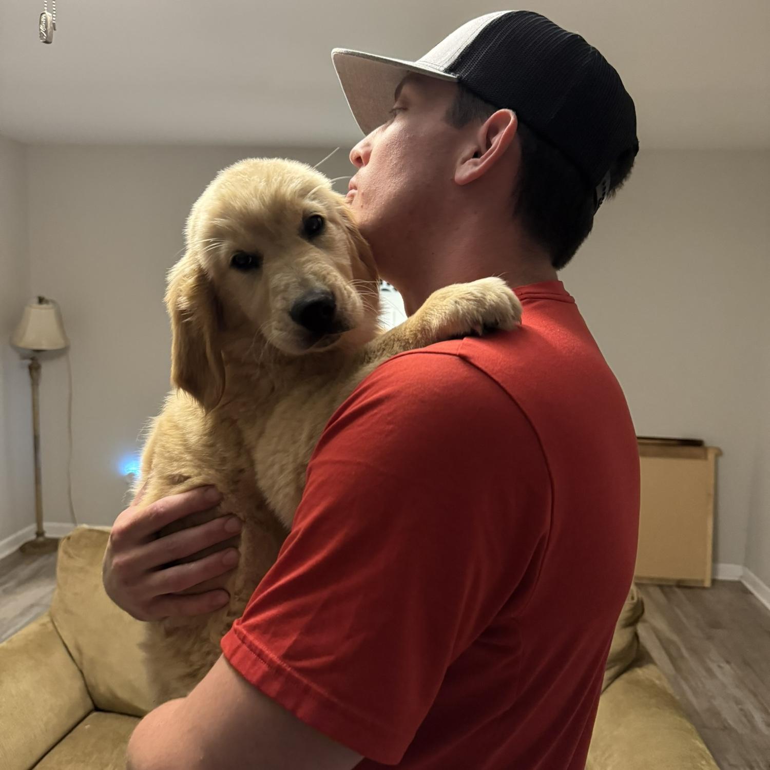 First time meeting Honey and taking her home
