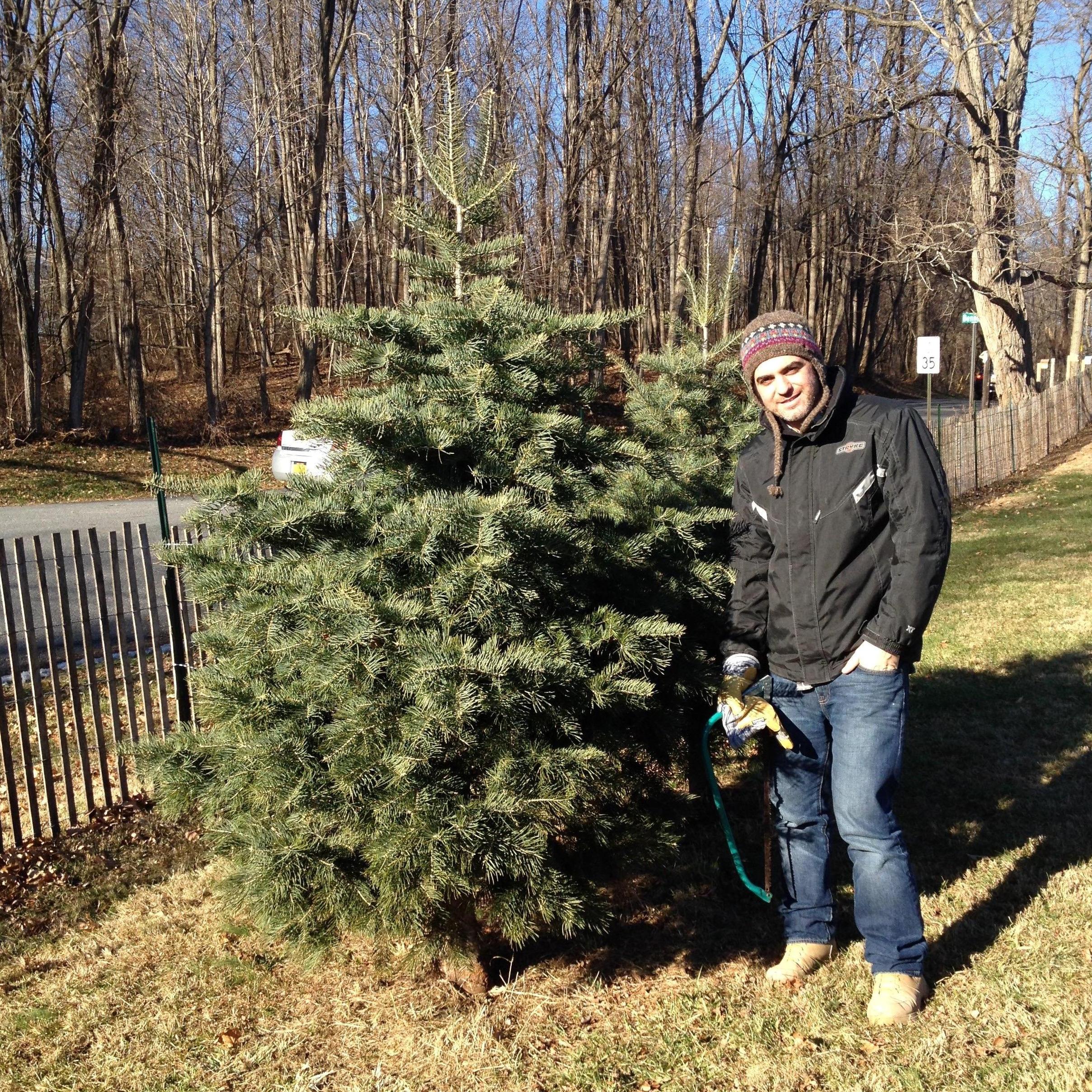 Starting traditions..