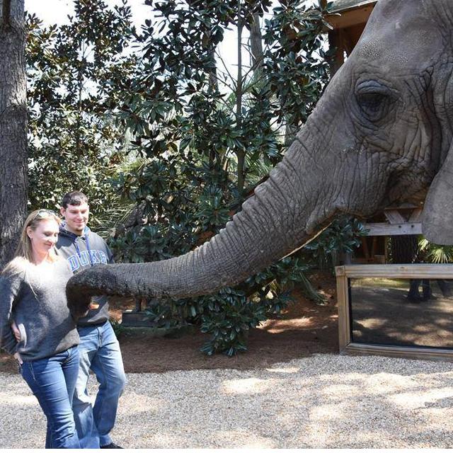Feeding bubbles!
