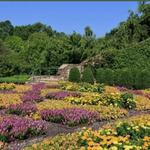 North Carolina Arboretum