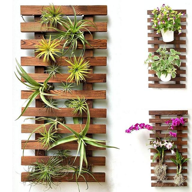 ShopLaLa Wall Planter - Wooden Hanging Planter for Indoor Plants, Plant Stand, Air Plant Succulent Holder, Vertical Garden. Large Wall Decor for Living Room, Room Decor for Teens, 60cm (23.6")