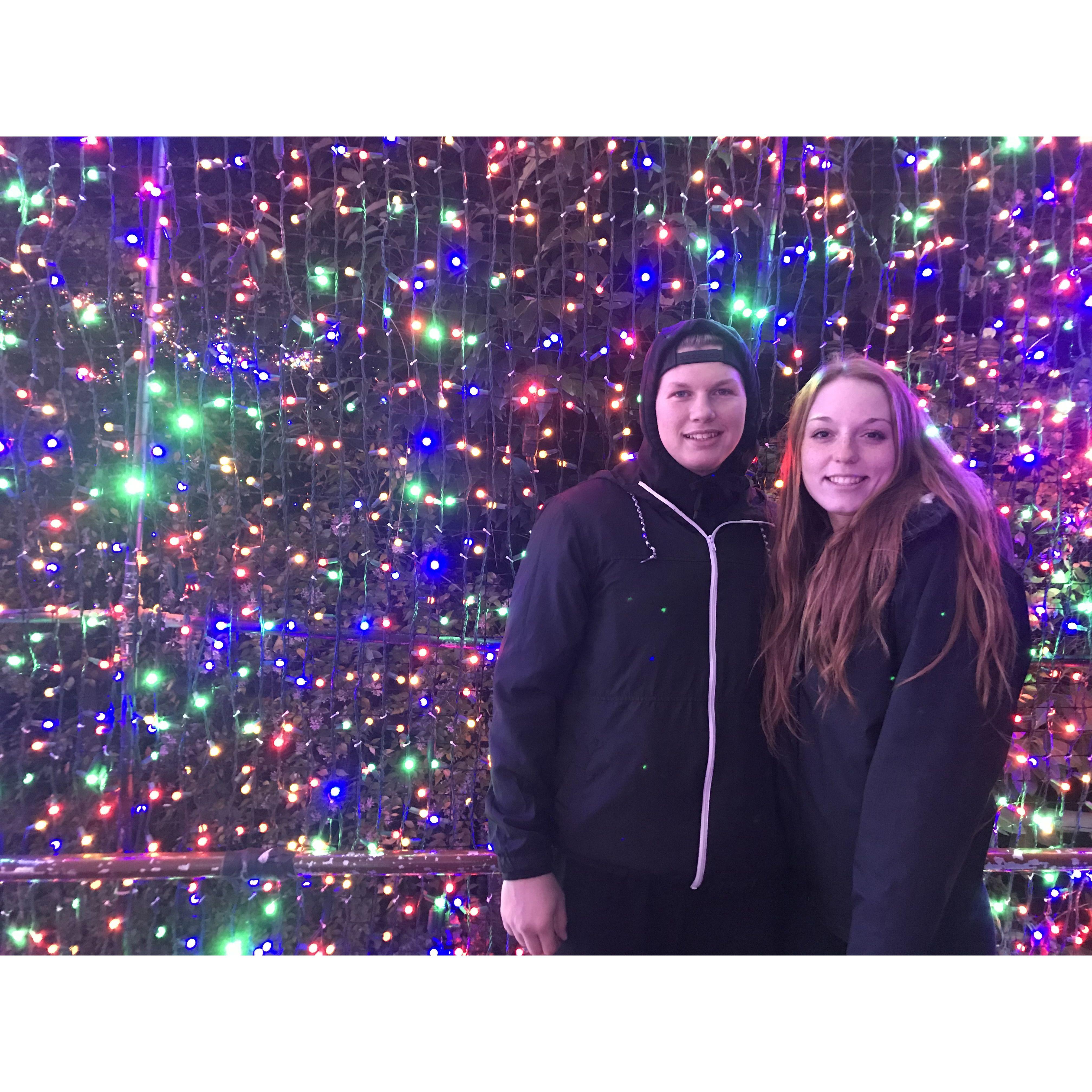 Zoo lights 2018