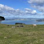 Pre-Wedding Travel Plans Around the Country