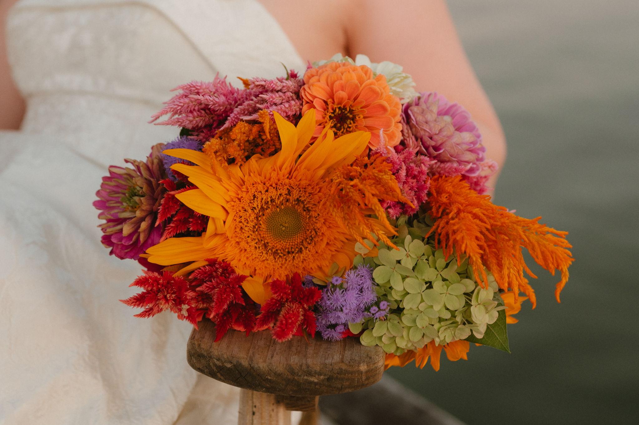 The Wedding Website of Olivia Clark and Caleb Robbins