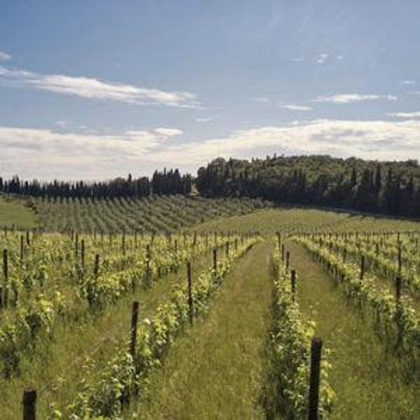 Off-Road Chianti Adventure in Tuscany, Italy