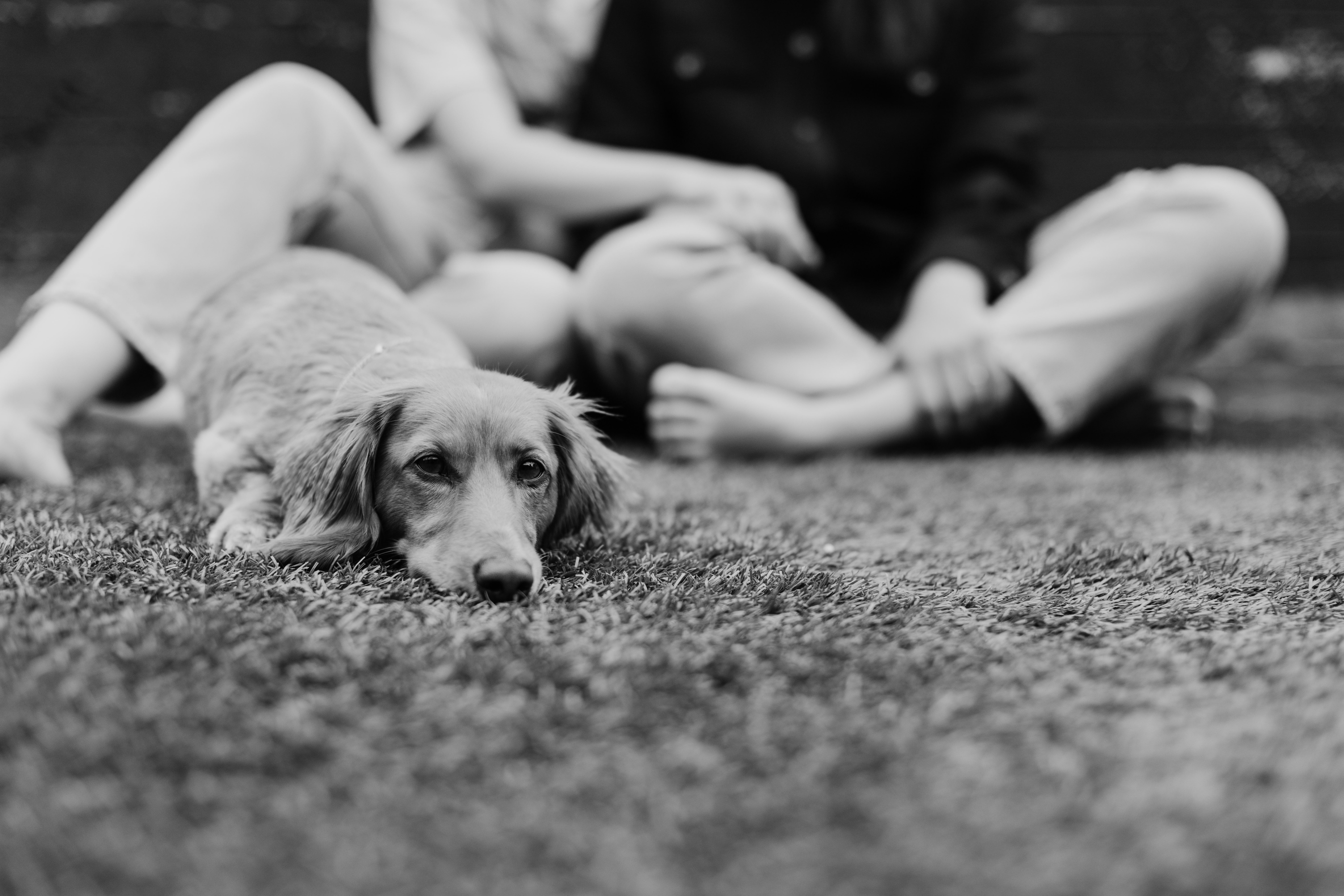 The Wedding Website of Madeline Down and Haley Kopmeyer