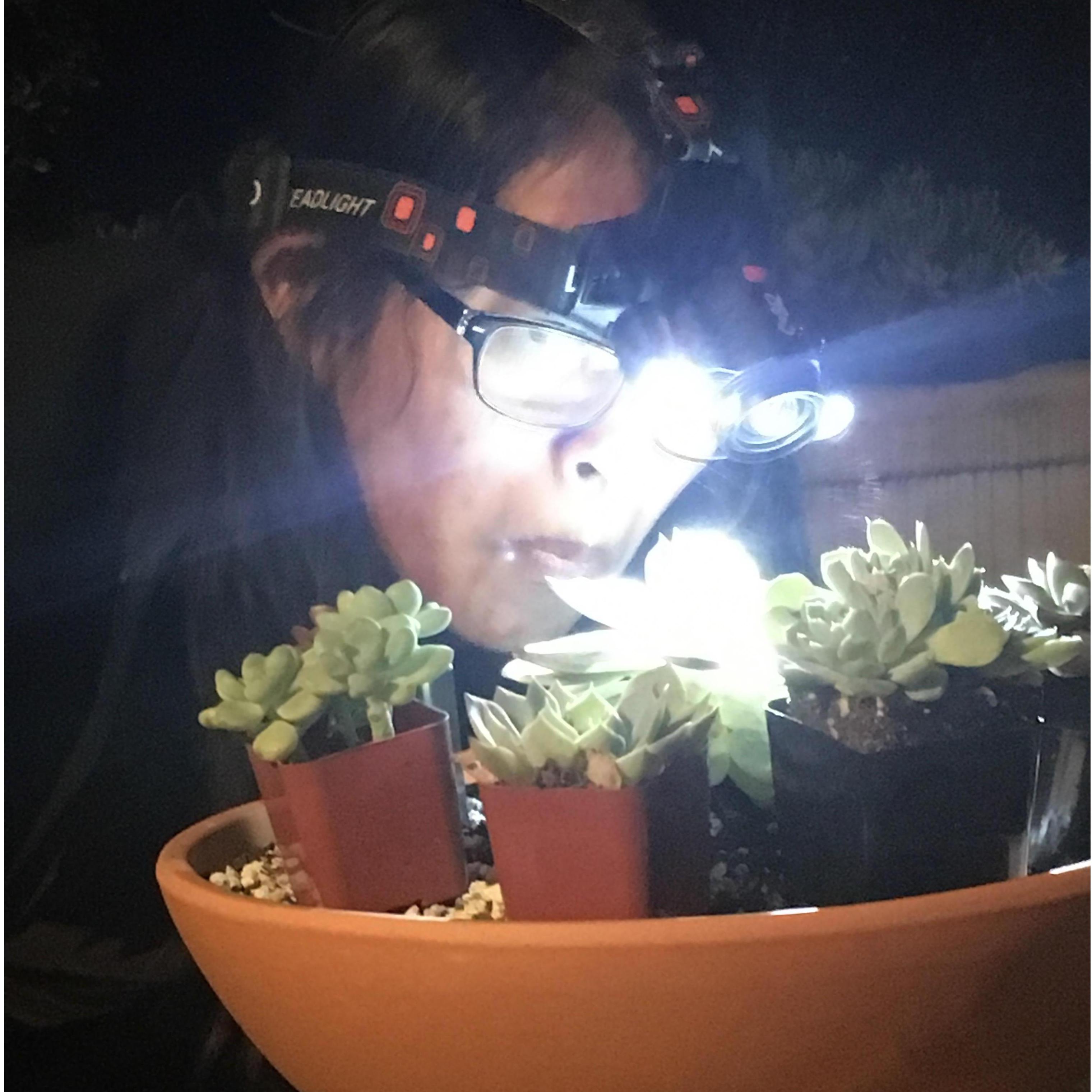 Inspecting!