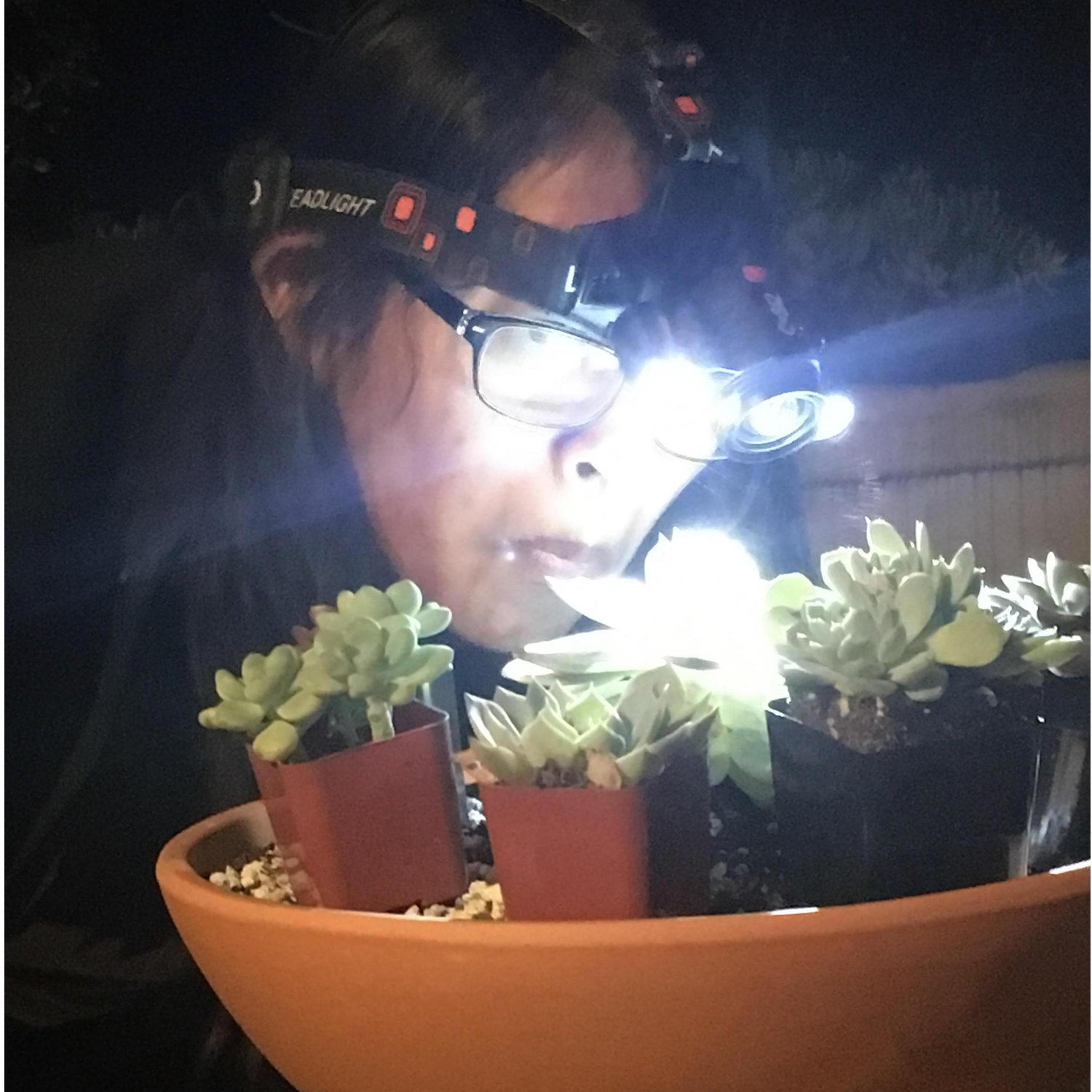 Inspecting!