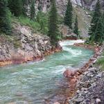Animas River