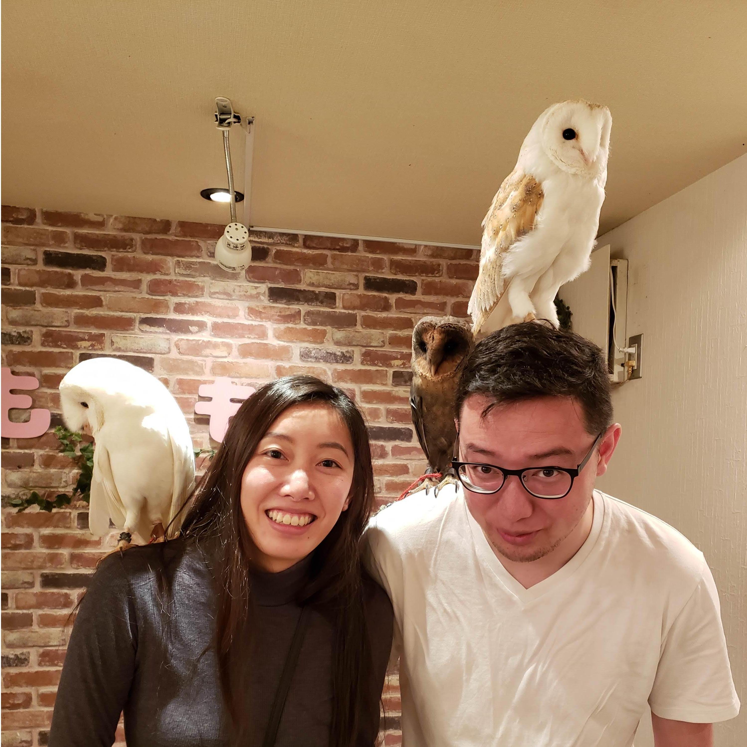When we tried to tame the owls; we were low-key scared to be pooped on.