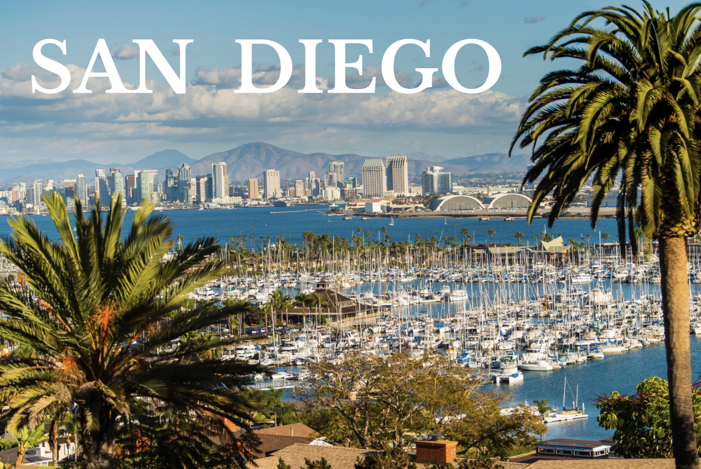 The Wedding Website of Ella Murphy and Matthew Fischer