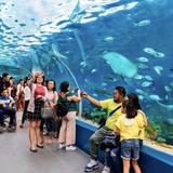 Cebu Ocean Park