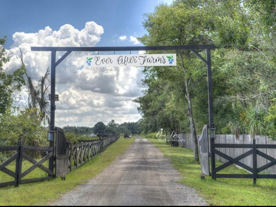The Wedding Website of Niki Carey and John Sparks