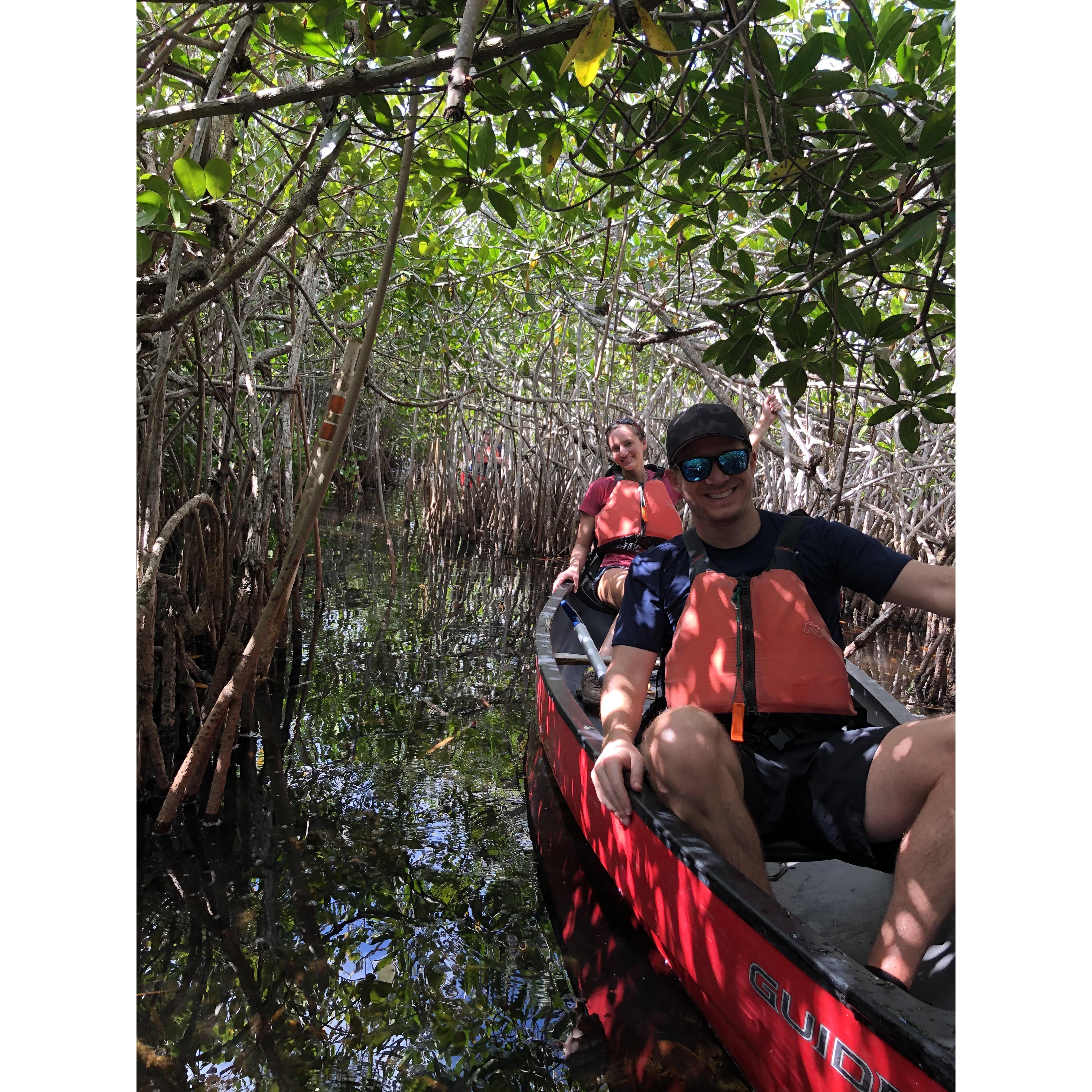 Scott's first experience in the Everglade mangroves....beware of the crocs!