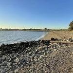 McLaughlin Eastshore State Park