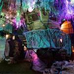 Meow Wolf