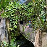 Omaha's Henry Doorly Zoo and Aquarium