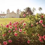 Mission Rose Garden