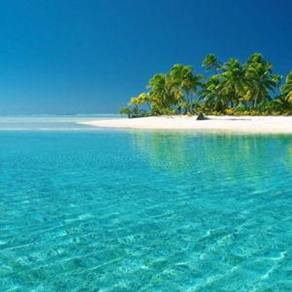 Honeymoon Fund