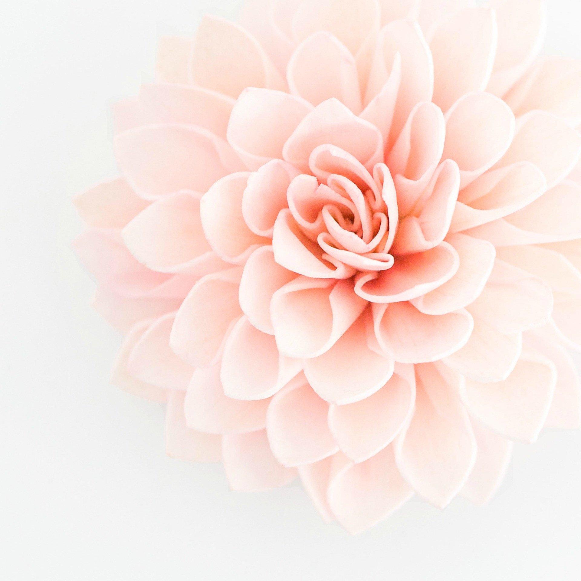 The Wedding Website of Katie Linduska and Ryan Starcevic