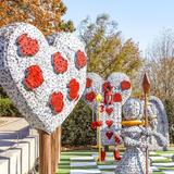 Atlanta Botanical Garden