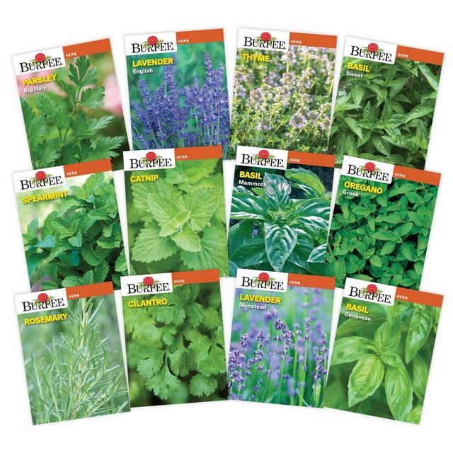Burpee 12ct Herb Seeds