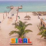 Sisal