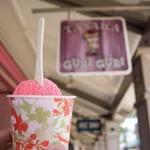 Tasaka Guri Guri Shop