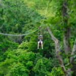 Sky Safari Zipline