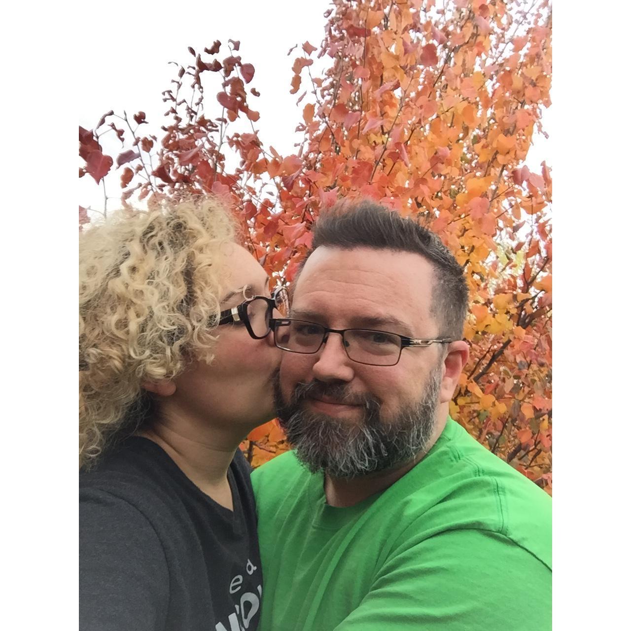 cir. November 2018
The day that the backyard work began!