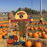 Country Blossom Farm