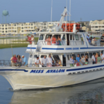 Miss Avalon Booze Cruise & Fishing