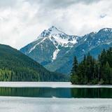 Packwood Lake Trail